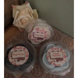 Angel Wings Scented Wax Melts